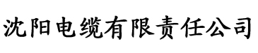 久久精品国产亚洲av瑜伽电缆厂logo